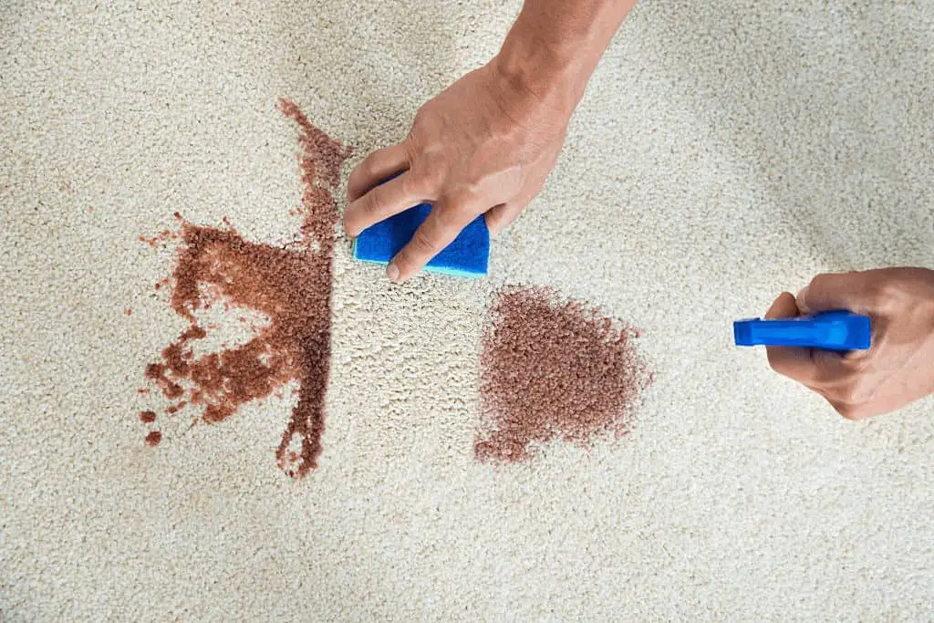 How To Get Blood Out Of Carpet 8 Easy Methods