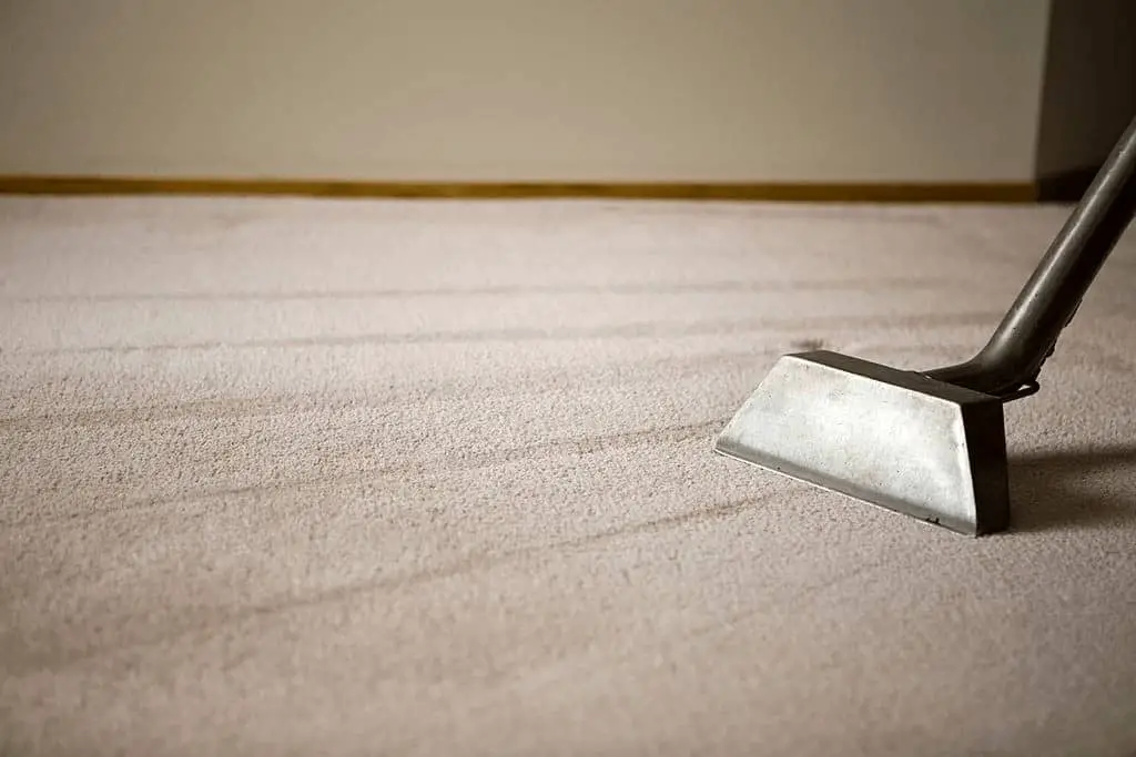 How to steam clean a carpet