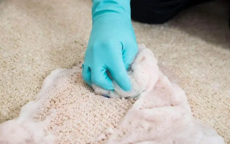 carpet scrubbing