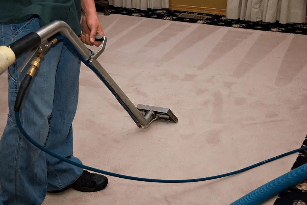 How to steam mop a carpet