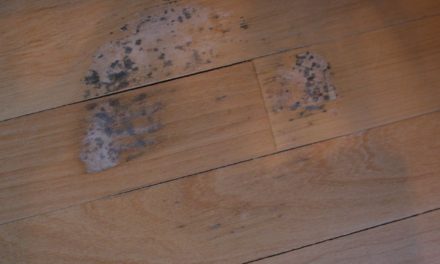 Removing White Spots On Hardwood Floor 7 Effective Method