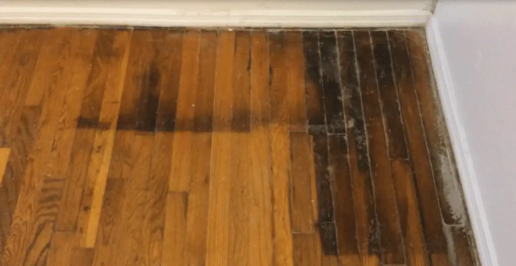 white spots on hardwood floor