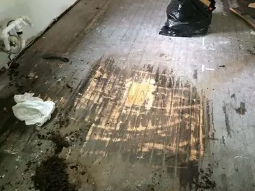 How To Remove Tar Paper From Wood 7, How To Remove Black Adhesive From Hardwood Floors