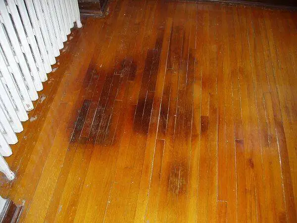 black spots on hardwood floor