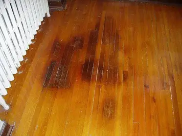How To Remove Black Spots On Hardwood Floor, How To Get Rid Of Black Spots On Hardwood Floors