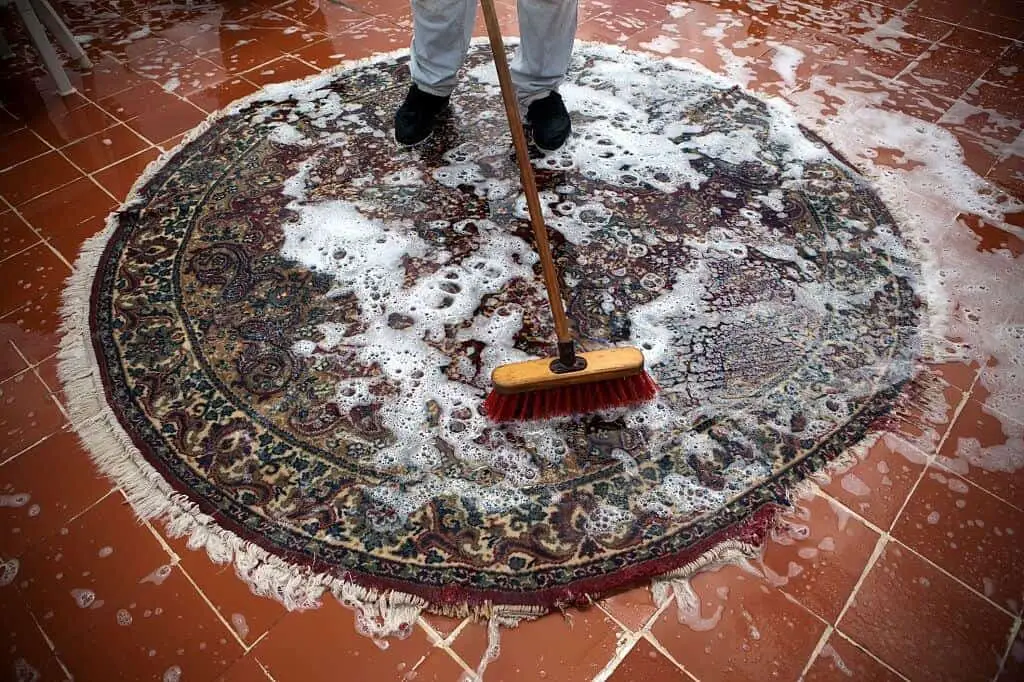 How to clean carpet without a vacuum