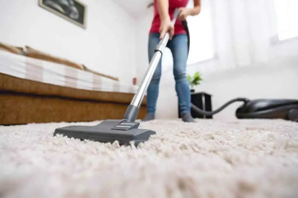 steam cleaning vs.shampooing carpets