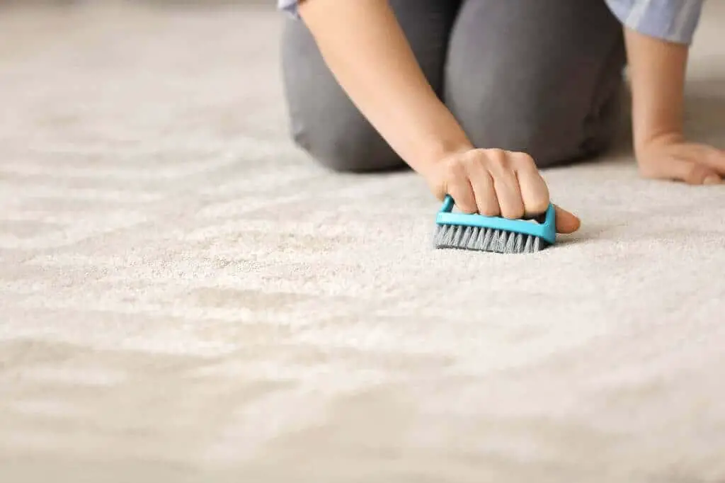 how to clean carpet without a vacuum 