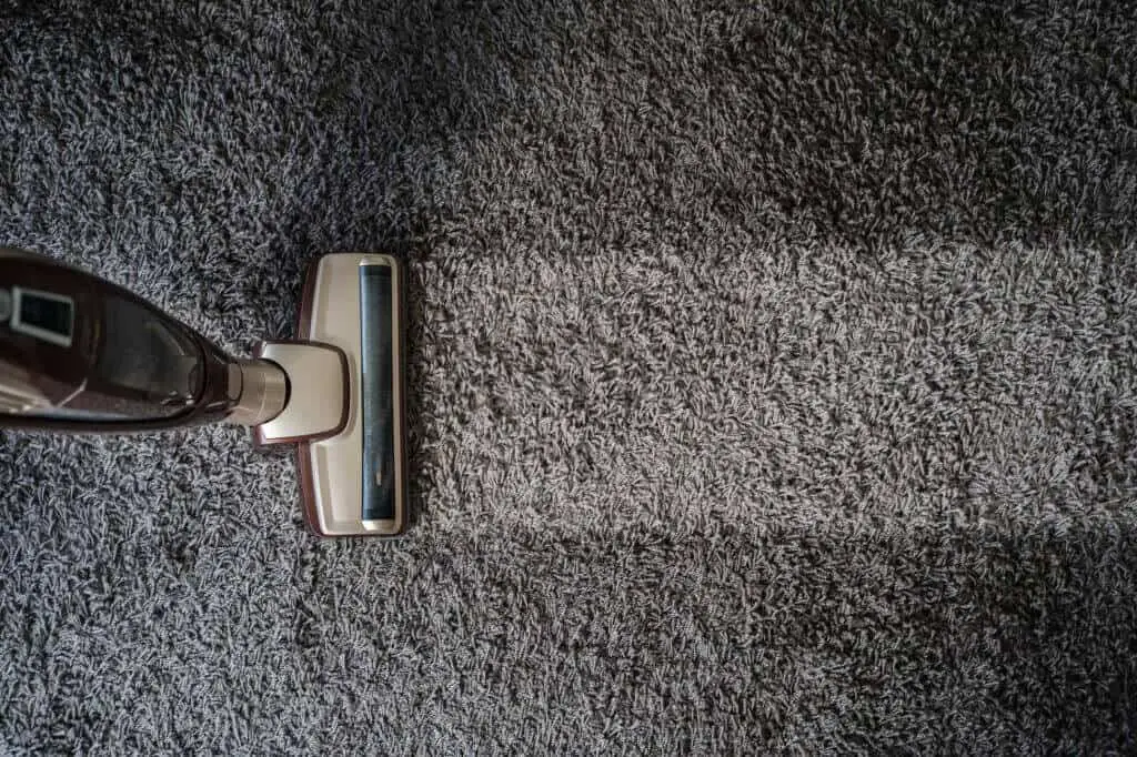 steam cleaning vs shampooing carpets