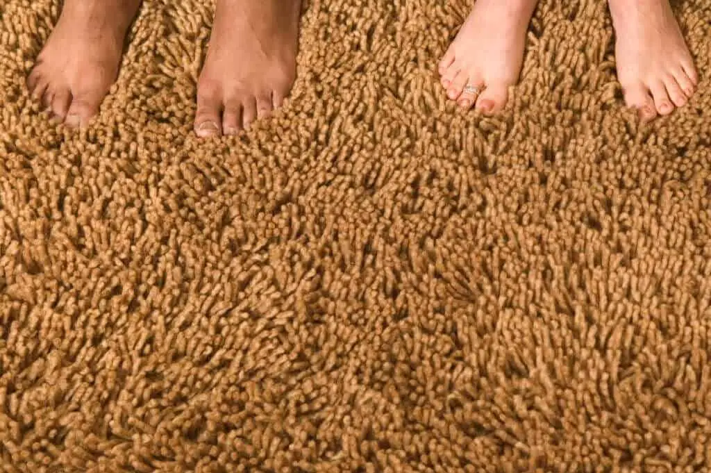 shag carpeting