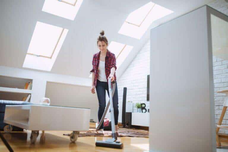 9 Best Manual Sweeper for Pet Hair 2022 Review