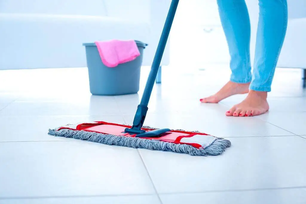 Best Mops for Laminate Floors