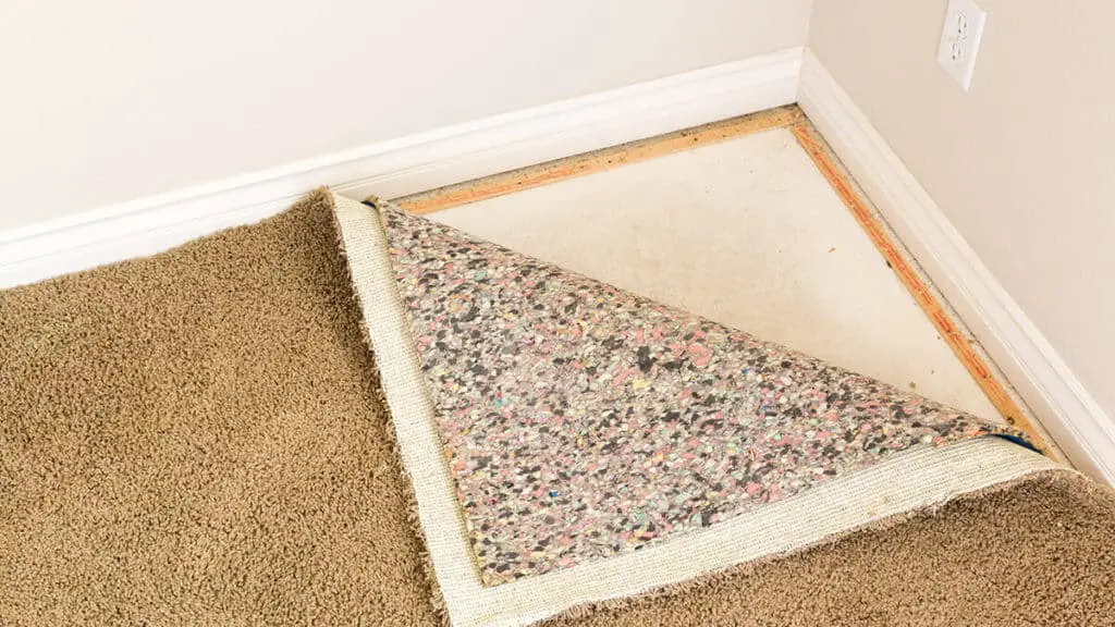 how to dry wet carpet padding