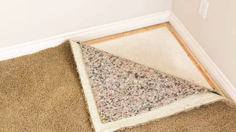 How To Dry Soaked Carpet Fast