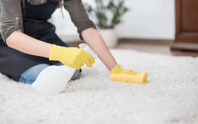 How to Remove Grease Stains from Carpet