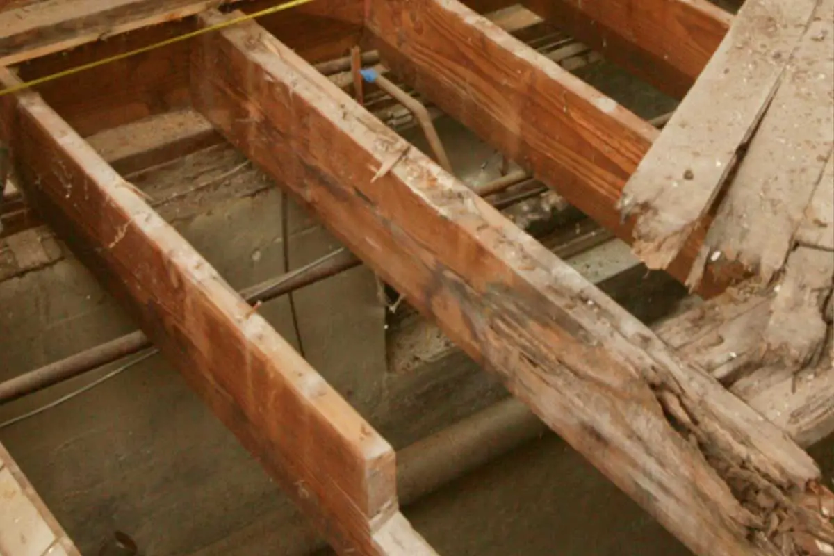 How Difficult is it to Replace Floor Joists