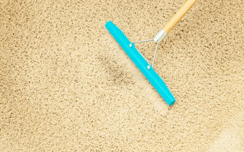 does water stain carpet