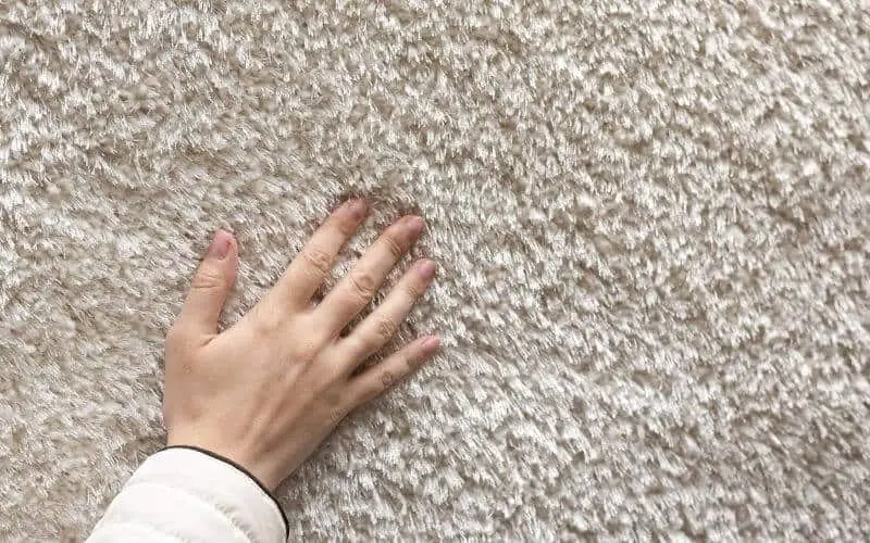 lady touching carpet