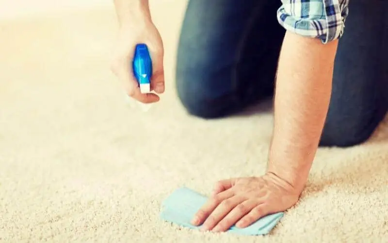 cleaning carpet with spray gun
