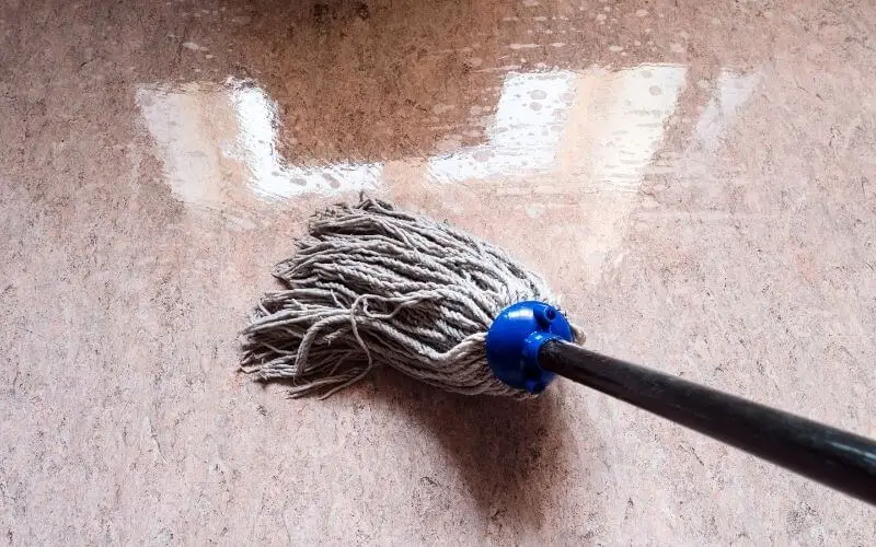 mopping linoleum floor