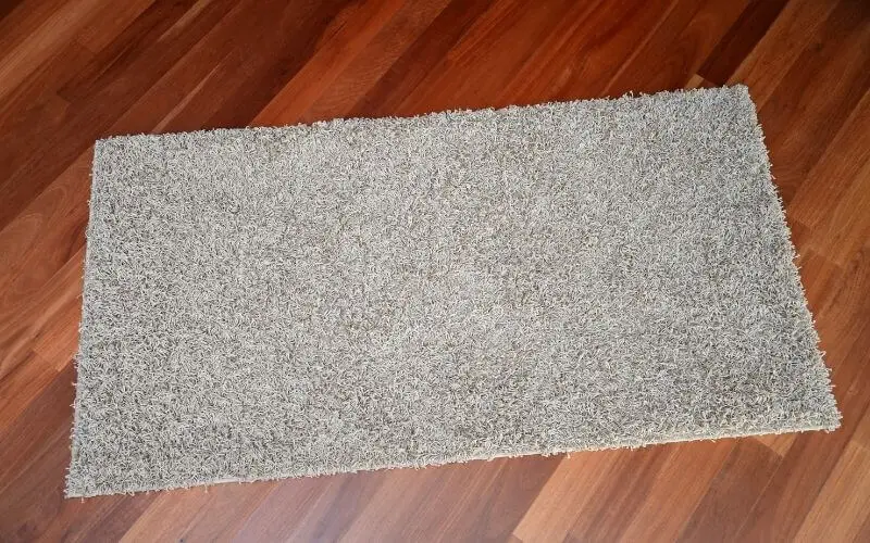 rubber backed area rugs on hardwood floors