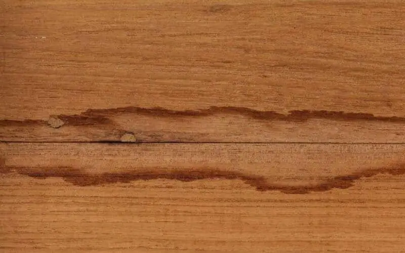 urine stain mark on wood