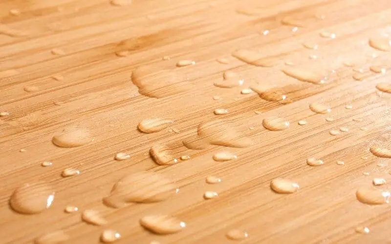 water popping wood floors