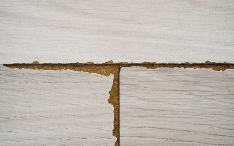 How to Fix Laminate Floor Water Damage – A Step-by-Step Guide