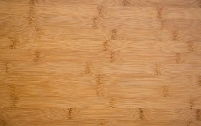 polished bamboo flooring