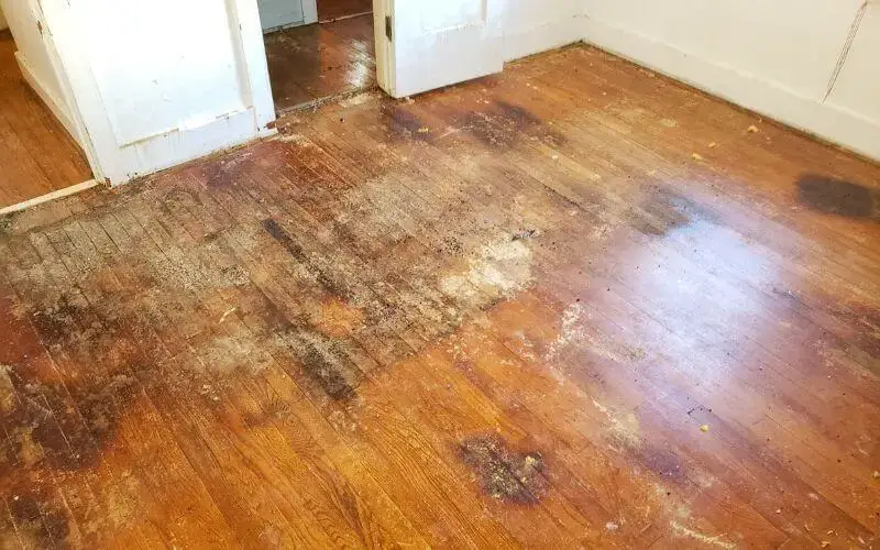 how to dry laminate flooring with water under it
