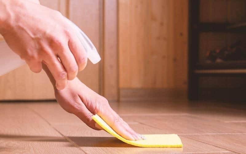 how to get rid of fleas on laminate flooring