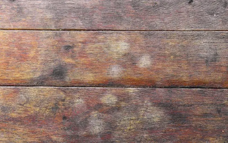 how to clean old hardwood floors after removing carpet