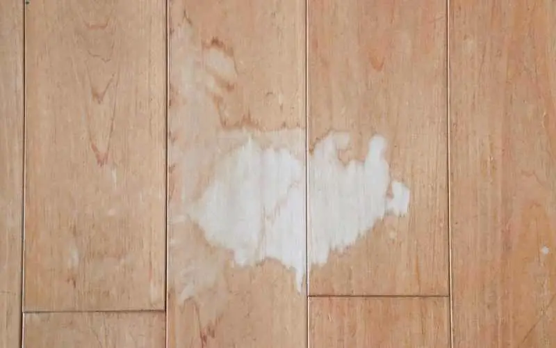 bleach stain on laminate flooring