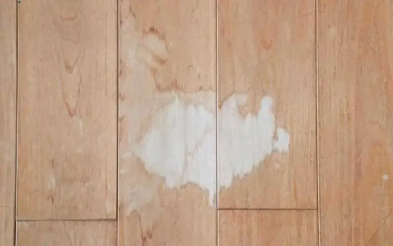 How To Remove Bleach Stain On Laminate, Can Bleach Go On Hardwood Floors