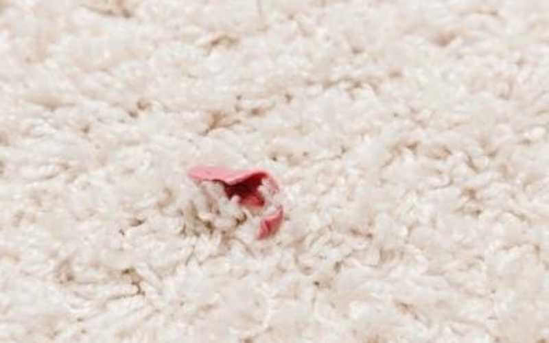 gum stuck in carpet