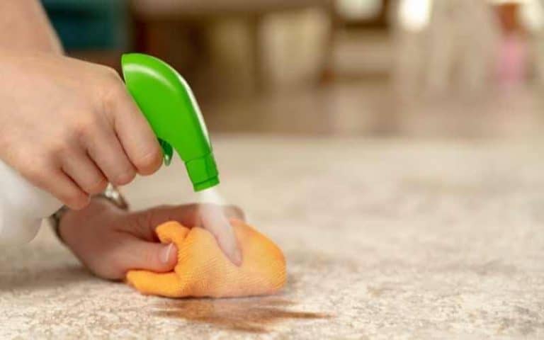 How To Get Orange Soda Out Of Carpet