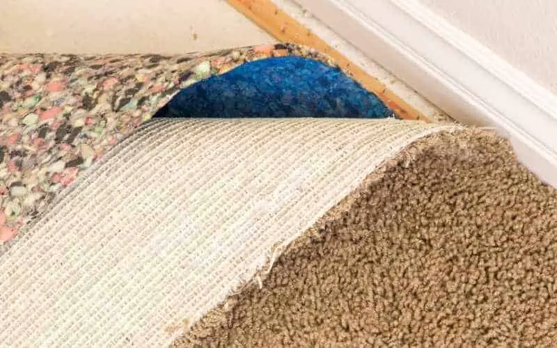 how to remove carpet padding from wood floors