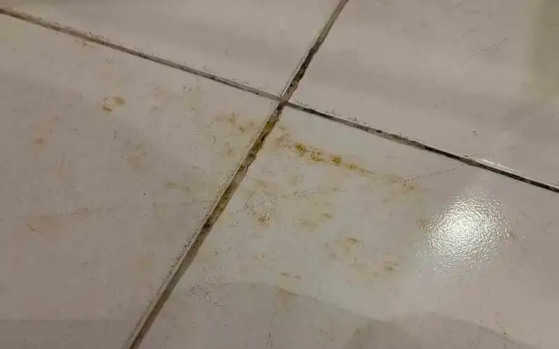 How To Remove Rust Stains From Tiles 6, How To Remove Stains From White Tile Floor