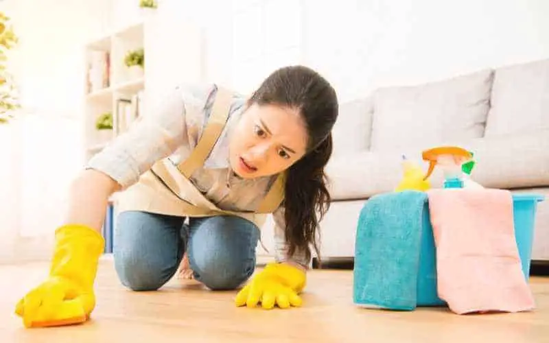 lady removing scuff mark on wood floor