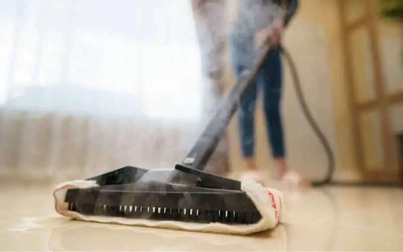 lady using steam mop on hardwood floors