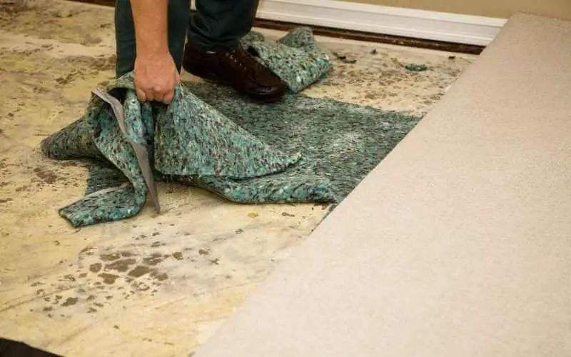 removing carpet padding from wood floors