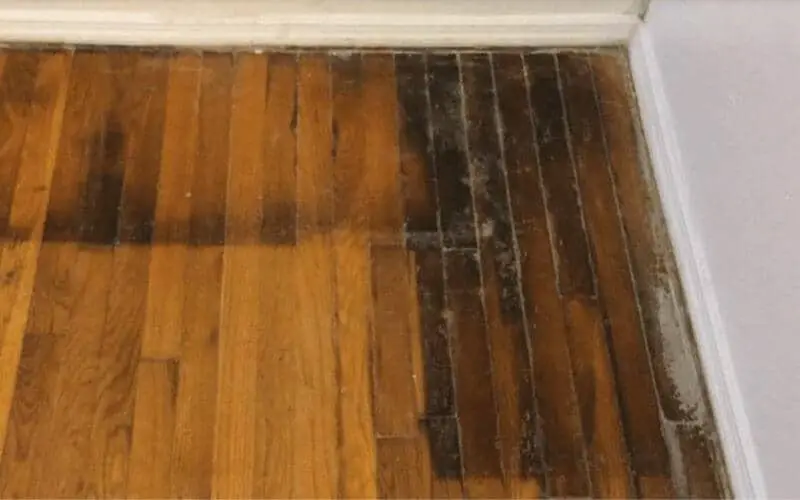 wood floor with black spots