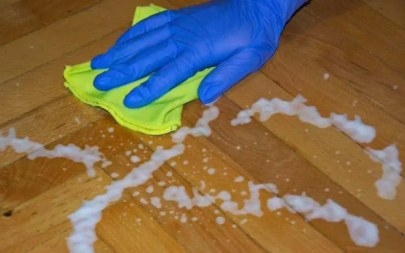 cleaning flea from hardwood floor