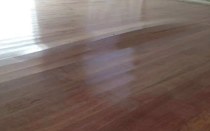 how to fix swollen wood floor
