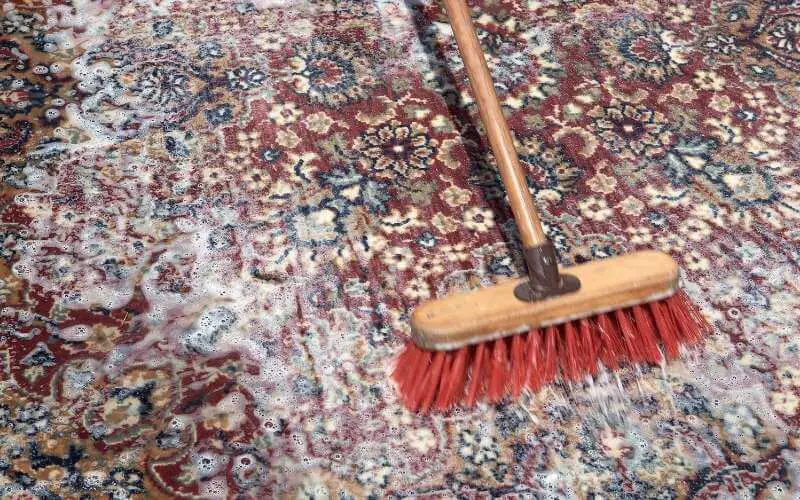how to shampoo area rug on hardwood floor