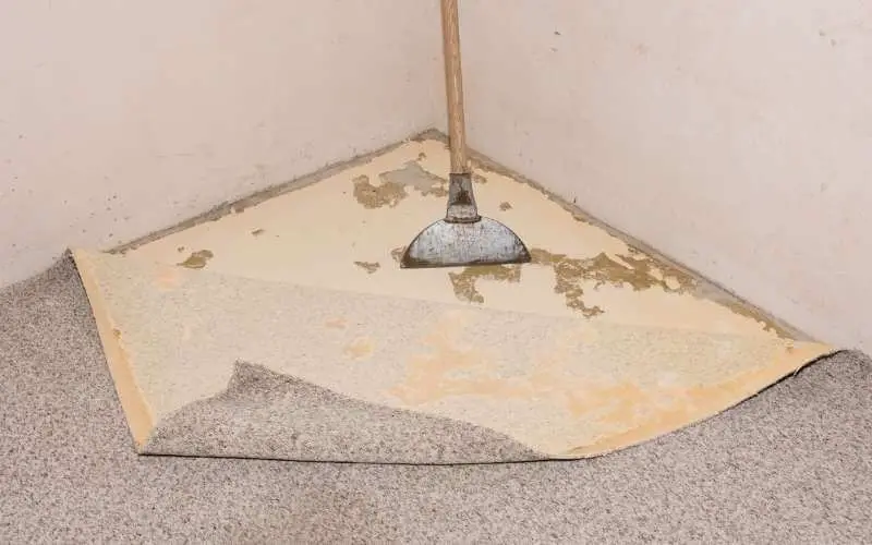 removing wall-to-wall carpets