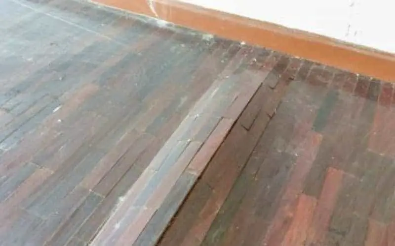 wood floor swelling