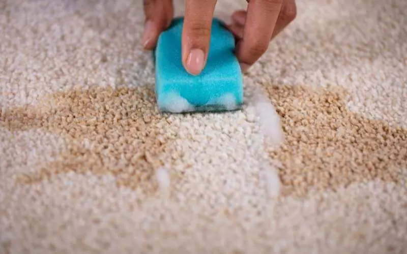 How to get smoothie out of carpet