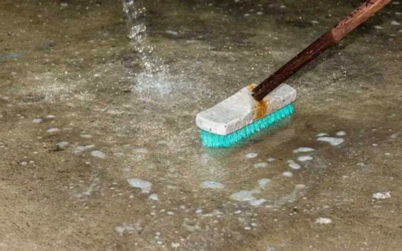 cleaning dog poop off concrete