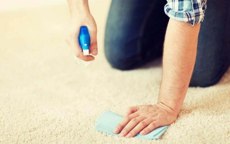 how long does it take carpet to dry after cleaning